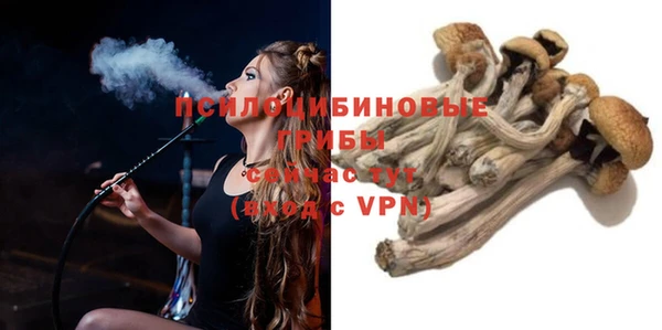 гидра Армянск