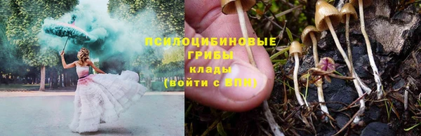 apvp Алзамай