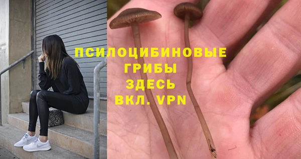 apvp Алзамай
