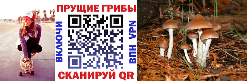 Псилоцибиновые грибы мухоморы  Купить закладки  Сортавала 